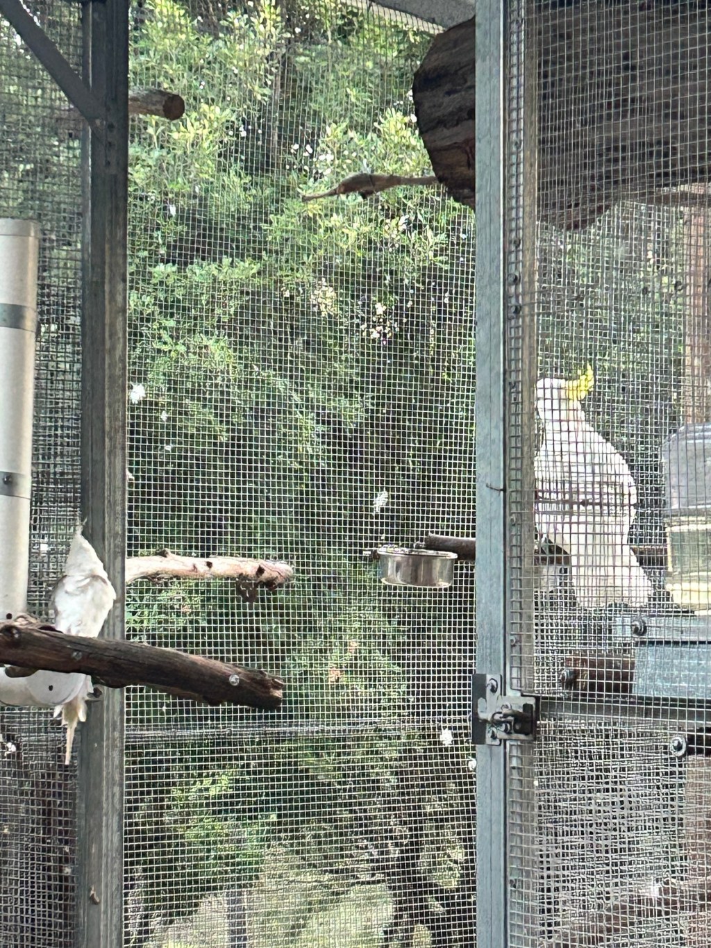 Welcome to Feather & Fern – Where Nature Feels Like&nbsp;Home